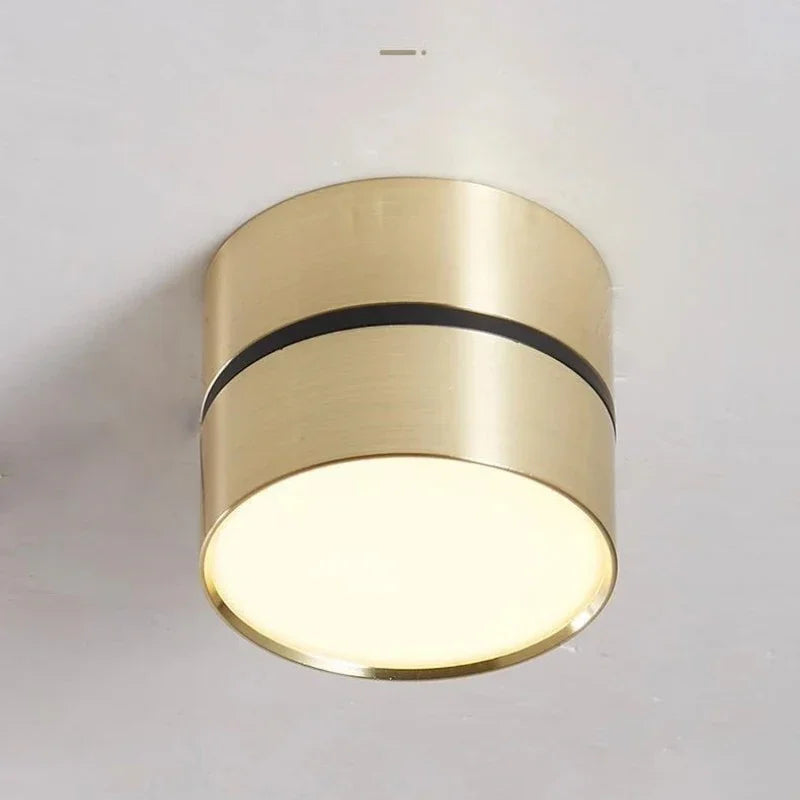 Minimal Dual-Tone LED Surface-Mounted Downlight