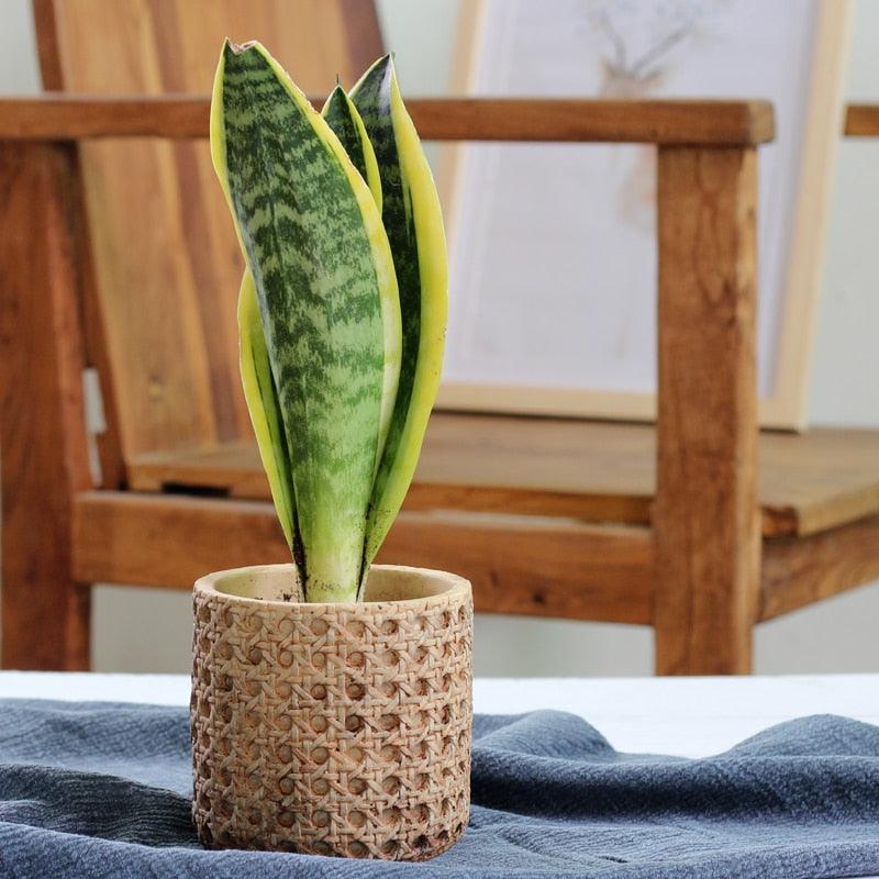 Woven Texture Concrete Planter Pot