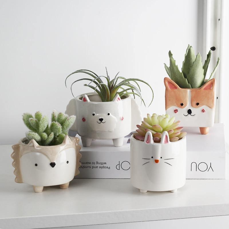 Square Animal Ceramic Succulent Planter Set