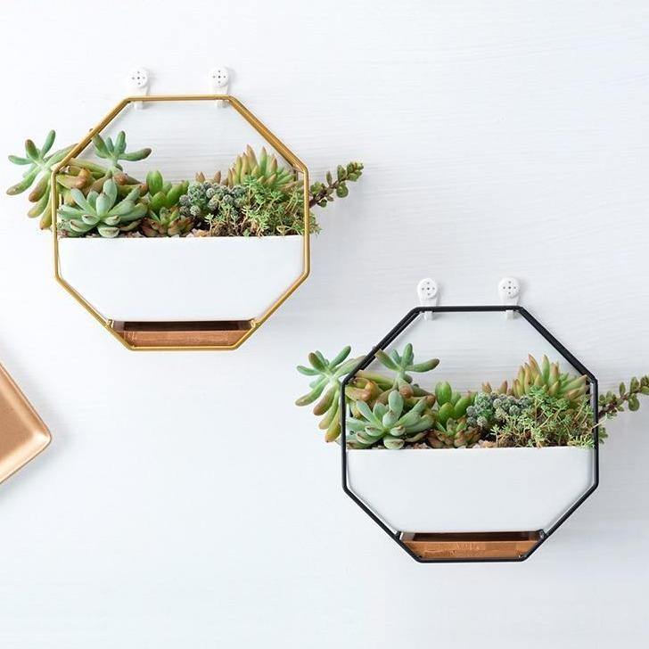 Hexagon Wall Hanging Planter Set