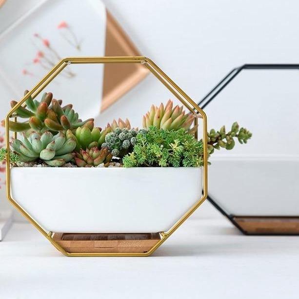 Hexagon Wall Hanging Planter Set