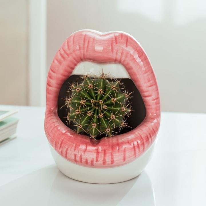 Lip Shape Ceramic Planter Pot