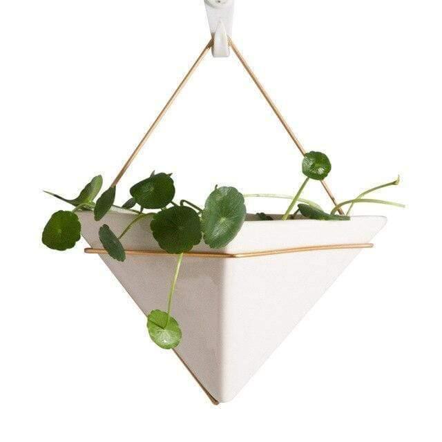 Hanging Geometric Glass Terrarium