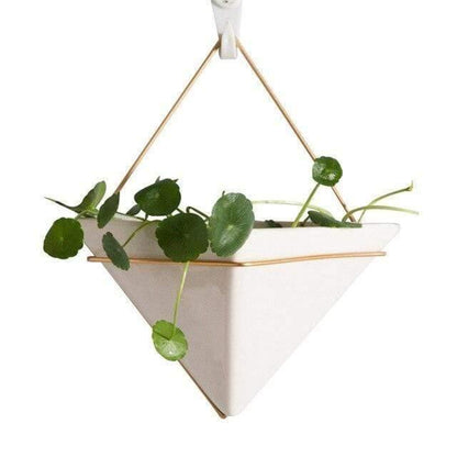 Hanging Geometric Glass Terrarium